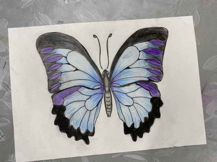 Schmetterling, Sommerferienkurs